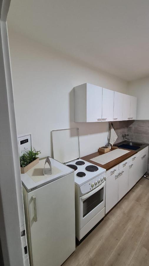 Apartman Pavlovic 레스코바츠 외부 사진
