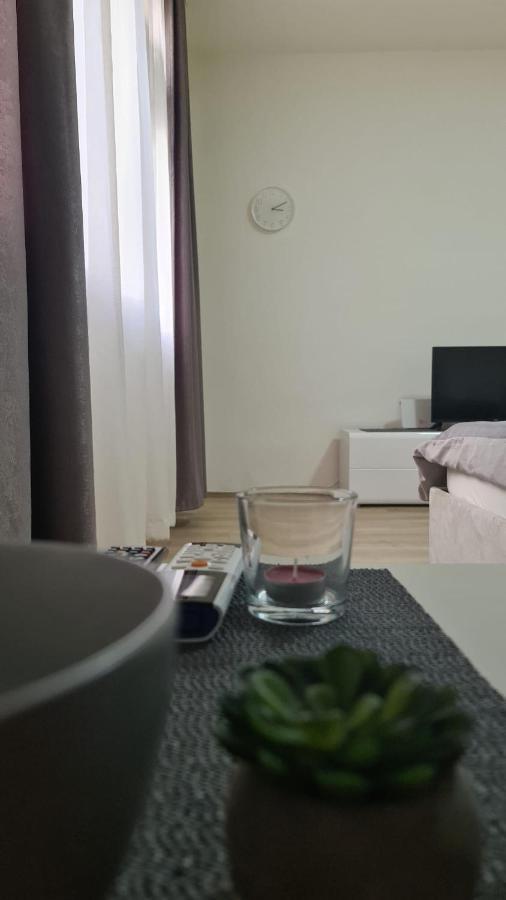 Apartman Pavlovic 레스코바츠 외부 사진